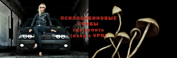 apvp Няндома