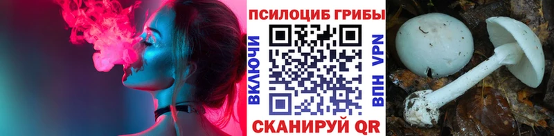 хочу наркоту  Ишим  Галлюциногенные грибы Cubensis 